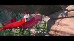 Rio 2 picture