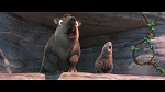 Rio 2 picture