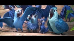 Rio 2 picture
