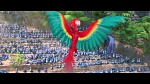Rio 2 picture
