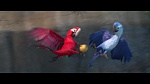 Rio 2 picture