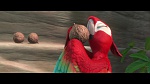 Rio 2 picture