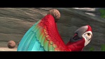 Image Rio 2