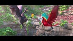 Rio 2 picture