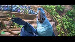 Rio 2 picture