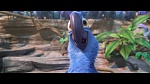 Rio 2 picture
