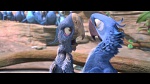 Rio 2 picture