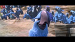 Rio 2 picture