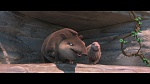 Rio 2 picture