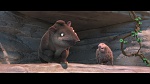 Rio 2 picture