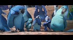 Rio 2 picture