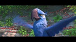 Rio 2 picture