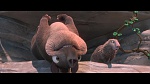 Rio 2 picture