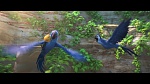Rio 2 picture
