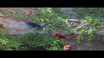Rio 2 picture