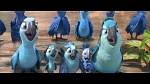 Rio 2 picture