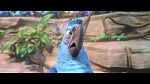 Rio 2 picture