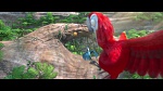 Rio 2 picture