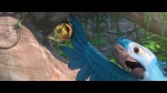 Rio 2 picture