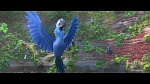 Rio 2 picture