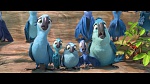 Rio 2 picture