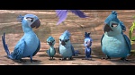 Rio 2 picture