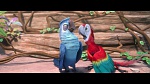 Rio 2 picture