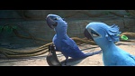 Rio 2 picture