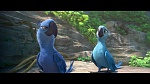 Rio 2 picture