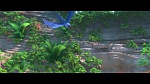 Rio 2 picture