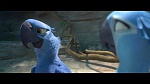 Rio 2 picture
