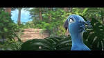 Rio 2 picture