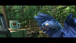 Image Rio 2