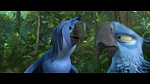 Rio 2 picture