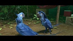 Rio 2 picture