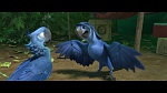 Image Rio 2