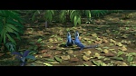 Rio 2 picture