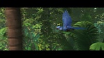 Rio 2 picture