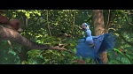Rio 2 picture