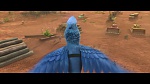 Rio 2 picture