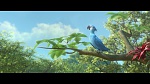Rio 2 picture