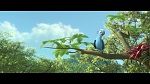 Rio 2 picture