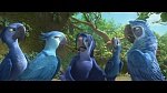 Rio 2 picture