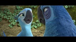 Rio 2 picture