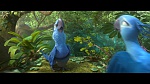 Rio 2 picture