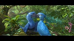 Rio 2 picture