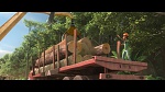 Rio 2 picture