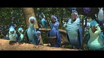 Rio 2 picture