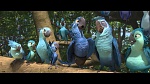 Rio 2 picture