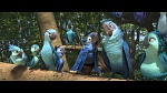 Rio 2 picture